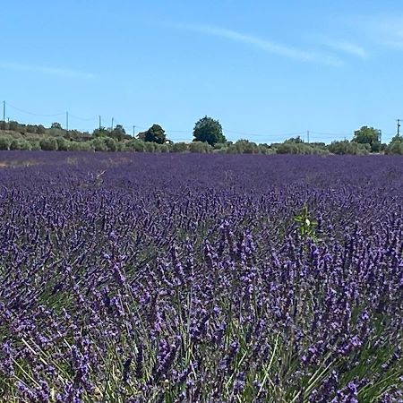 Gite Cocotte Luberon, Forcalquier Pierrerue  外观 照片