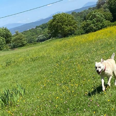 Gite Cocotte Luberon, Forcalquier Pierrerue  外观 照片