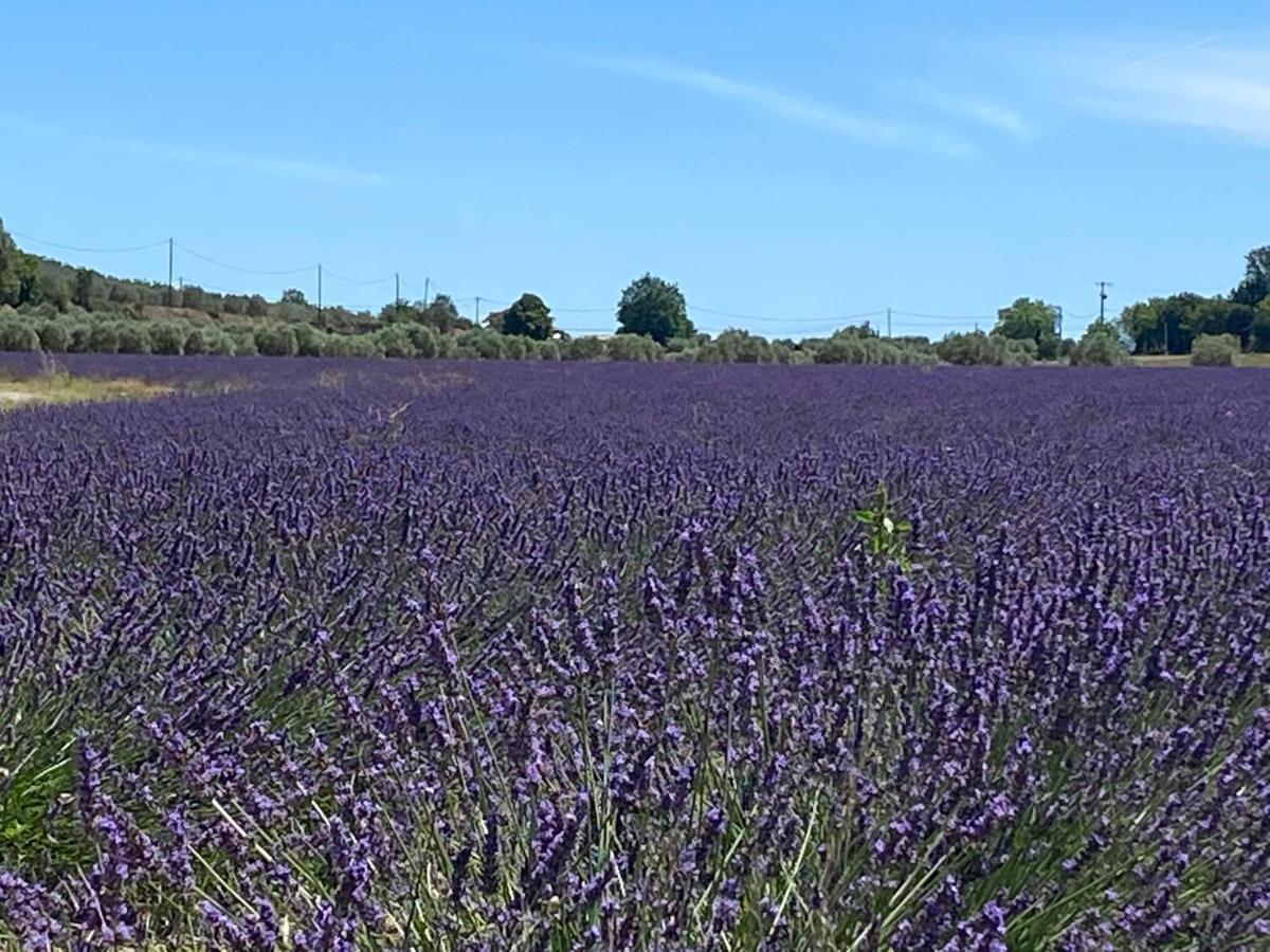 Gite Cocotte Luberon, Forcalquier Pierrerue  外观 照片