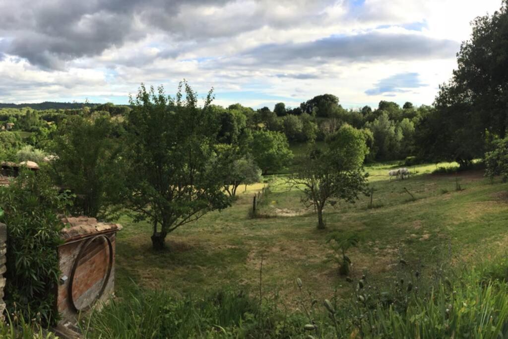 Gite Cocotte Luberon, Forcalquier Pierrerue  外观 照片