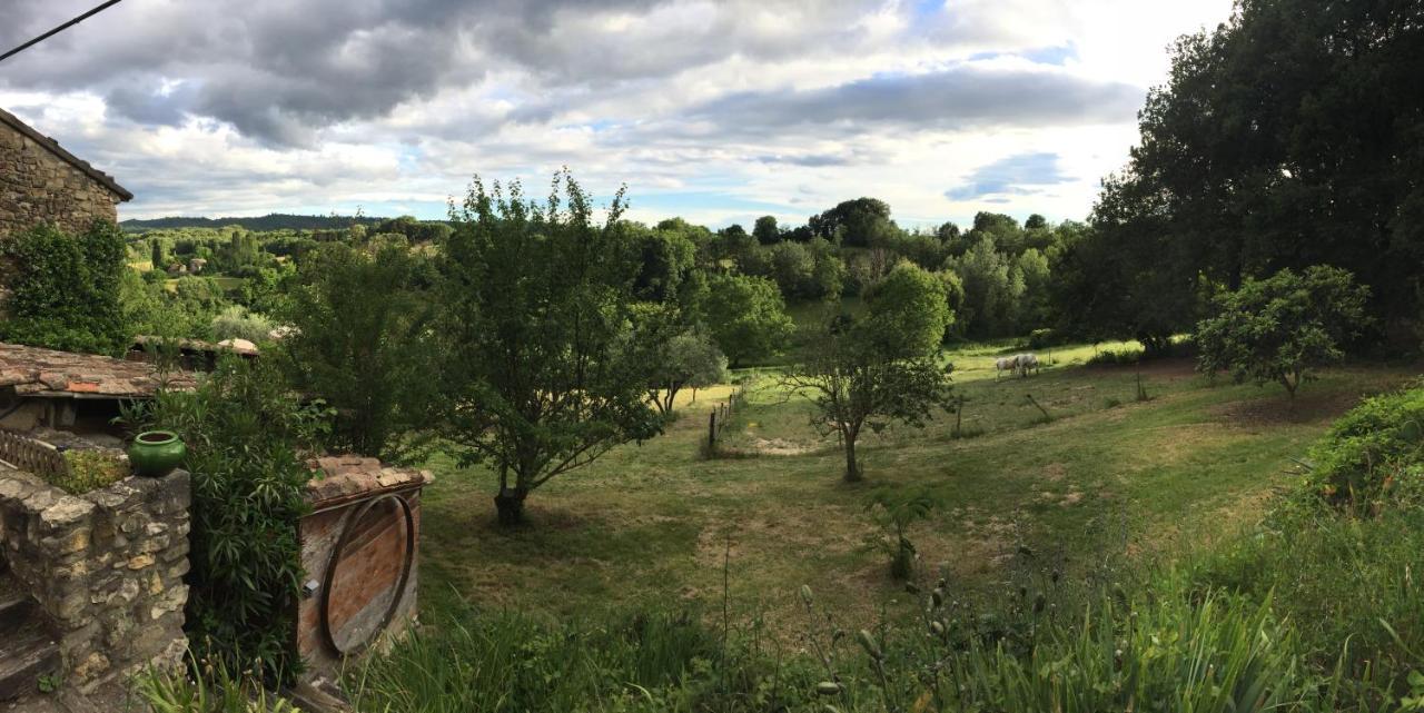 Gite Cocotte Luberon, Forcalquier Pierrerue  外观 照片